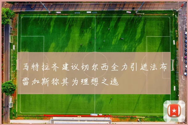 马特拉齐建议切尔西全力引进法布雷加斯称其为理想之选